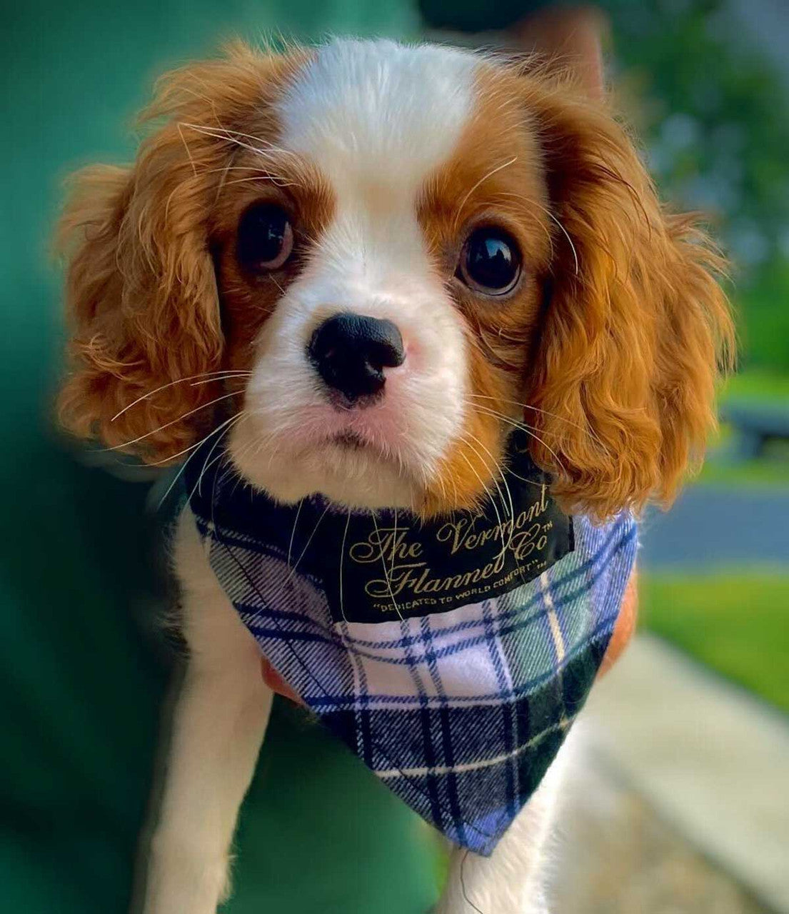 Flannel dog bandana best sale