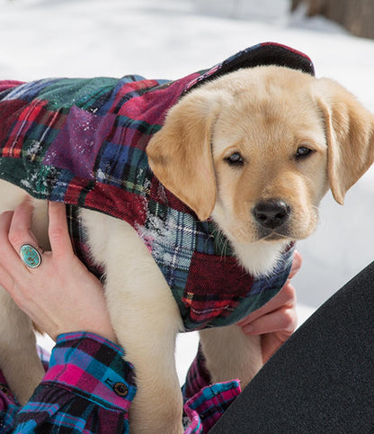 Flannel Dog Jacket - XL