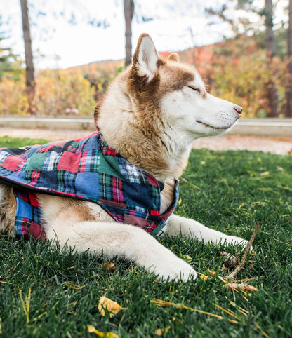 Flannel Dog Jacket - XL