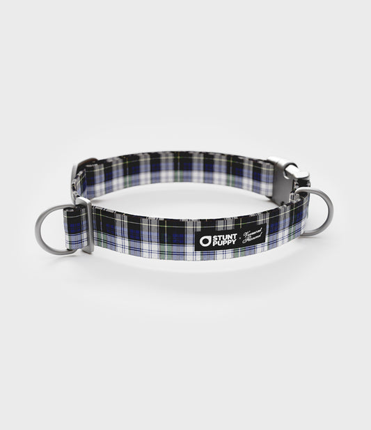 Everyday Dog Collar - Campbell