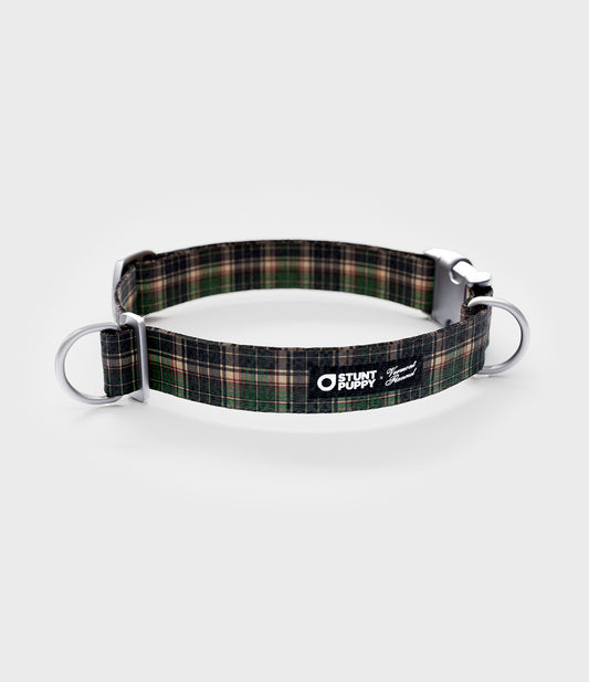 Everyday Dog Collar - Earth