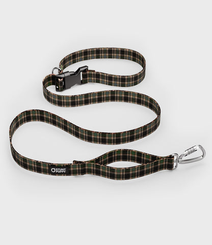 Everyday Dog Leash - Earth